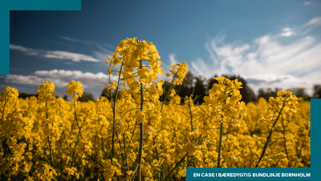 99,9 procent CO2-neutral på egen matrikel – der er mere at hente i værdikæden