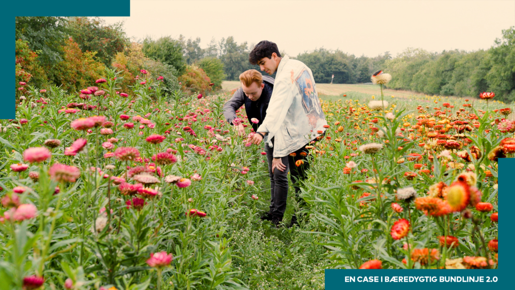 Miljøbuketter kan være med til at stoppe blomsterspild