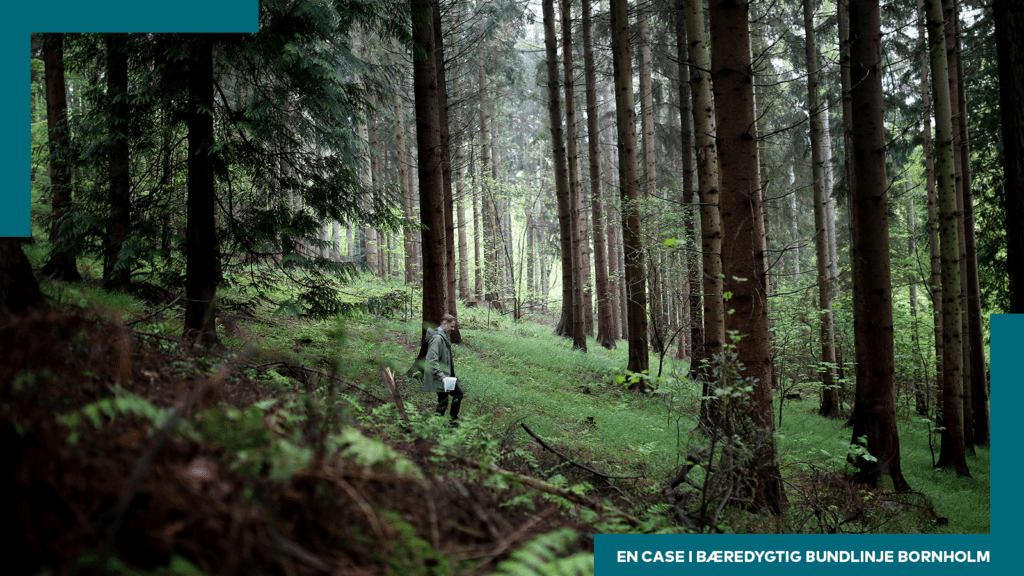 Destilleri vil både nidoble deres produktion og spare energi på samme tid