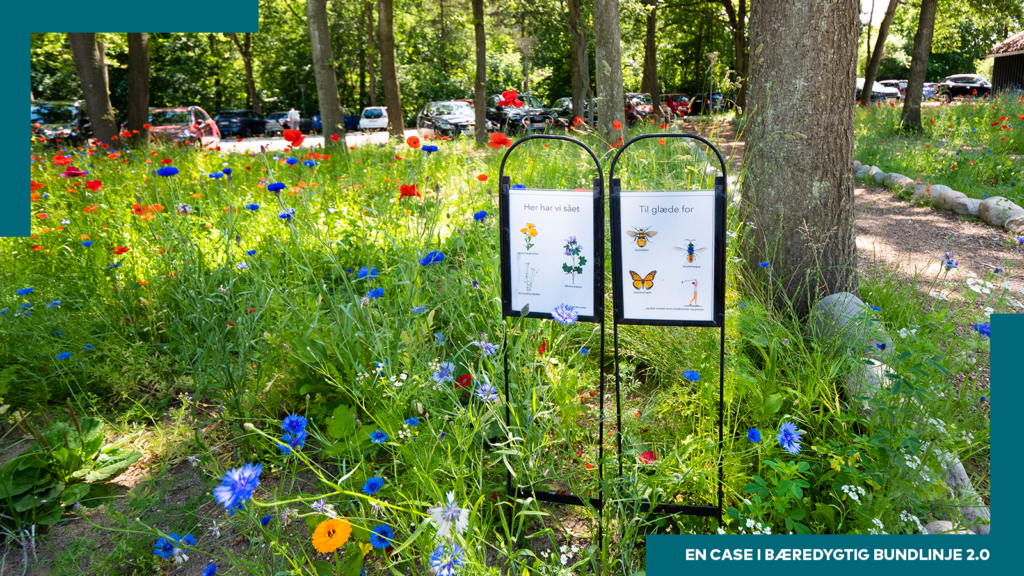 Naturen får plads og insekterne trives hos golfklub