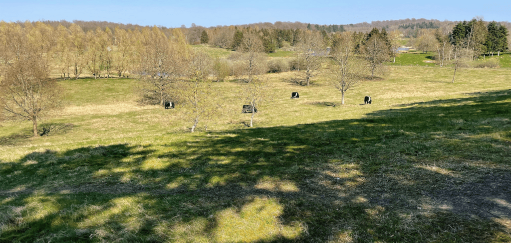 Solcelledrevet dataindsamler skal give et bedre overblik