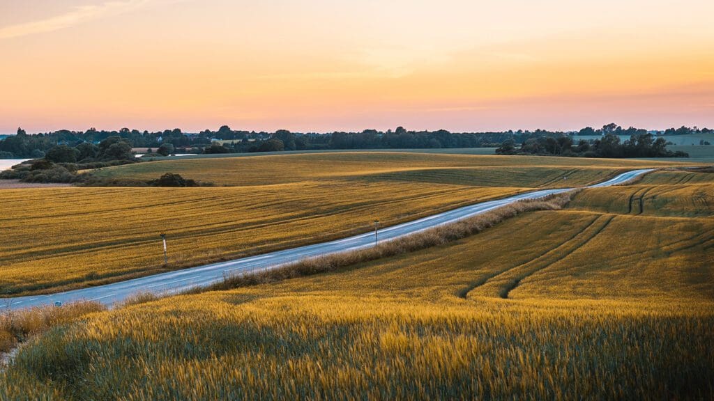 Seks projekter med 90 partnere skaber handling