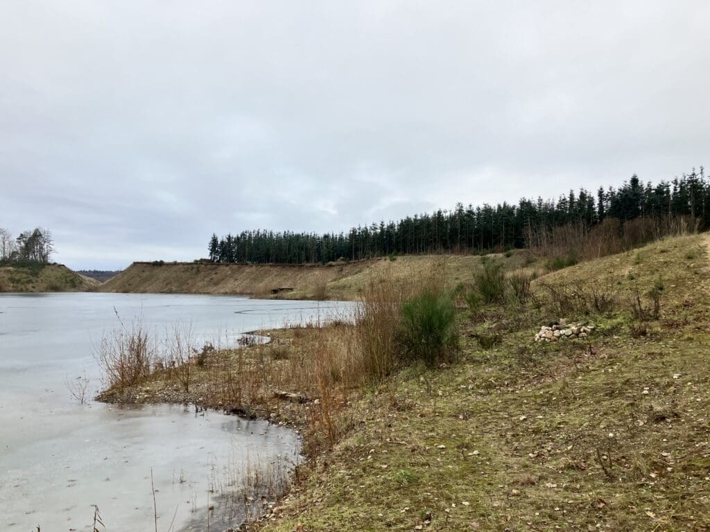 Vildt liv i gamle råstofgrave