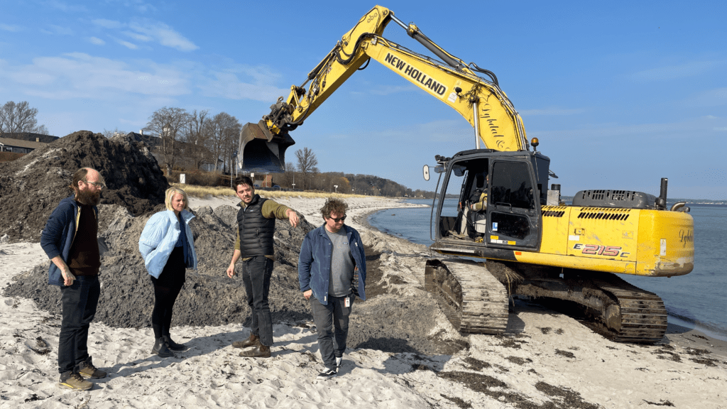 Hørsholm beskytter kysten med naturens egne midler