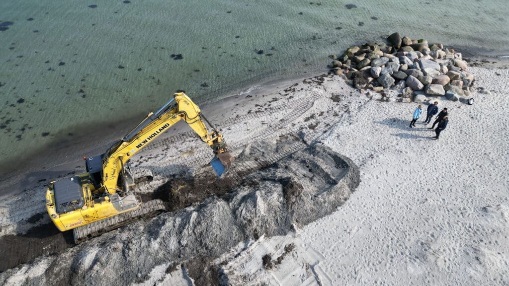 Nyt netværk vil forvandle opskyllet tang og ålegræs til ressource