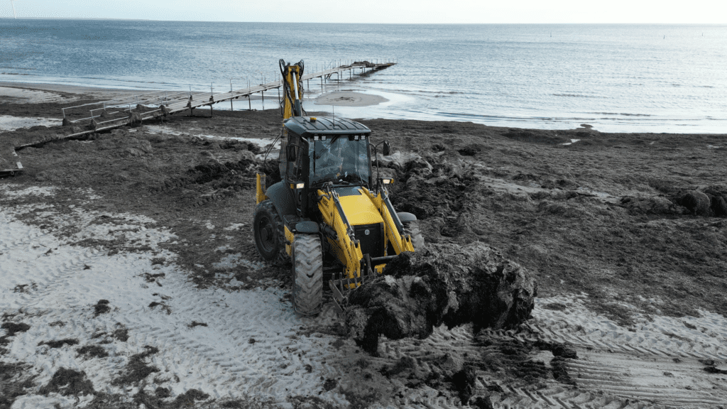 Tema: Indsamling af strandopskyl